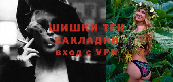 крисы Горняк