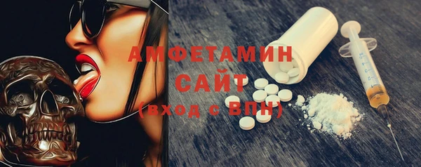 крисы Горняк