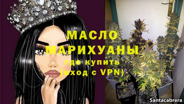 крисы Горняк