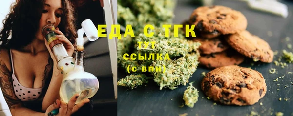 крисы Горняк